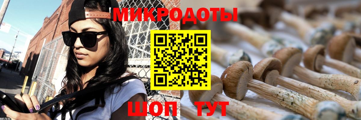 Псилоцибиновые грибы MAGIC MUSHROOMS Коркино