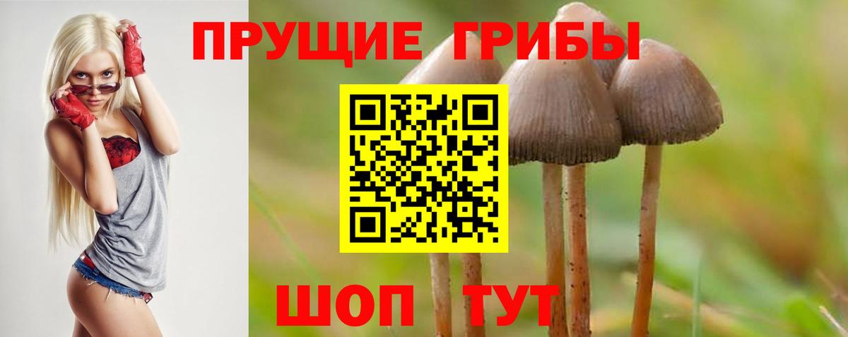 Псилоцибиновые грибы Psilocybe  Вход с VPN  Коркино 